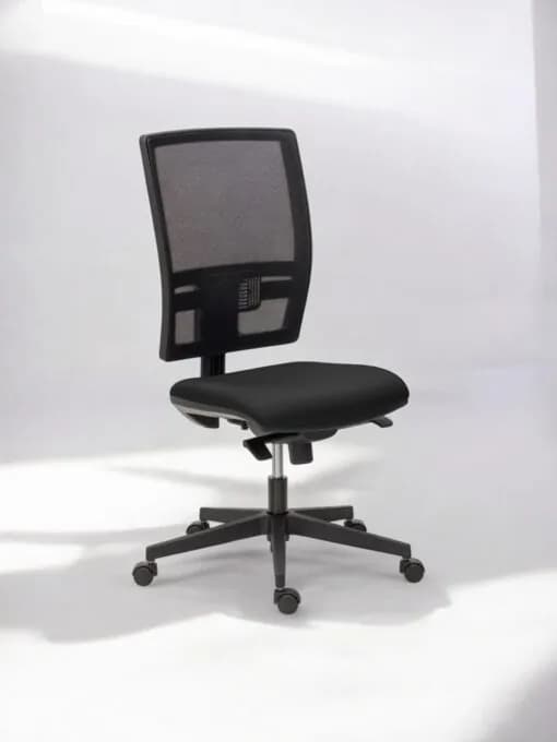 Chaise à roulette Bruneau ajustable ergonomique promo — vue 2