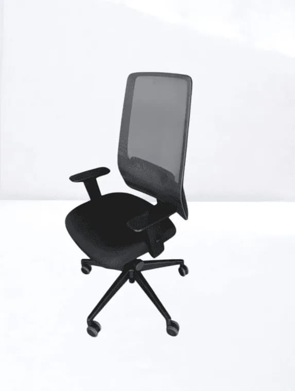 Chaise de Bureau Ergonomique Interstuhl Dossier Résille Noir — vue 2