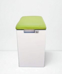 CAISSON AVEC COUSSIN D'ASSISE VERT